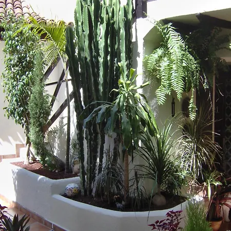Near Sea For Adults Only Apartmán *