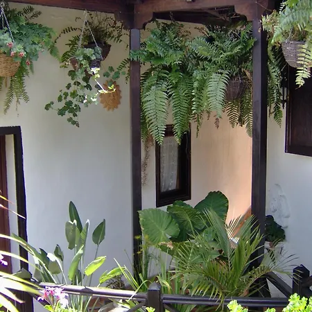 Near Sea For Adults Only Apartmán