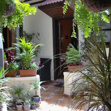 Near Sea For Adults Only Apartmán *